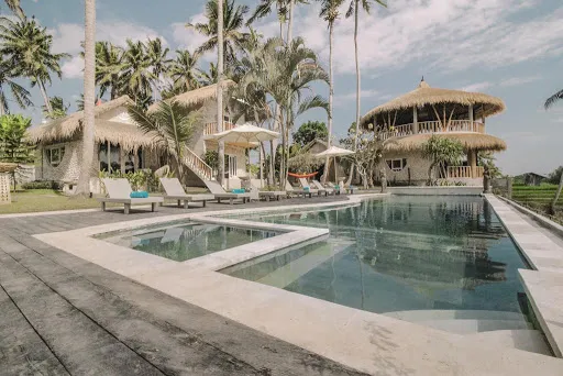 Coco Verde 3