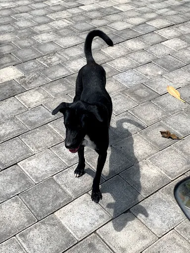 Nanda Homestay Guesthouse 3