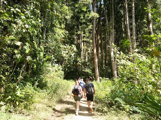 MDPL BALI 2