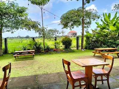 Kober Mie Bali - Tabanan 3