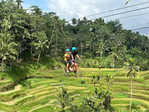 Made Dodi Private Driver Bali & Bali Tour Guide - you choose, we drive! 2