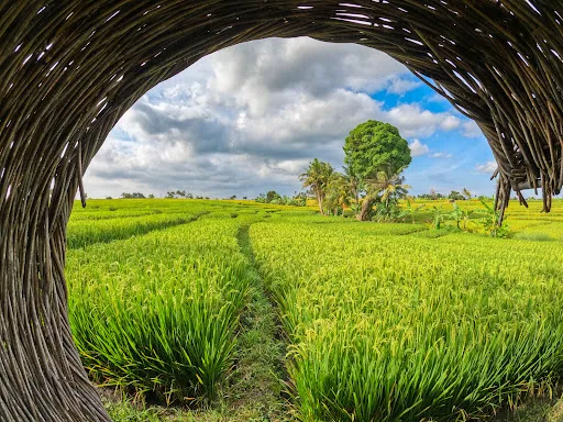 Made Dodi Private Driver Bali & Bali Tour Guide - you choose, we drive! 3