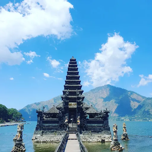 Humble Balinese Driver 2