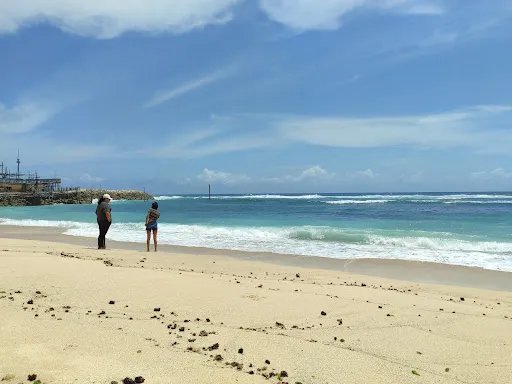 Humble Balinese Driver 3