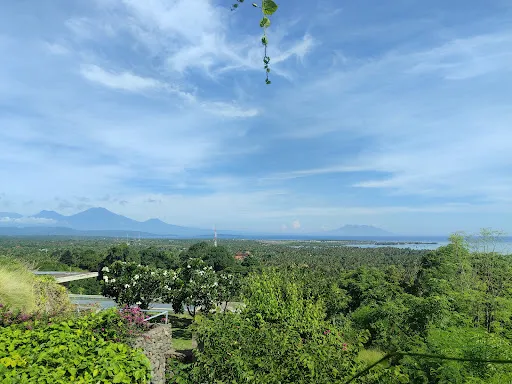 Humble Balinese Driver 4