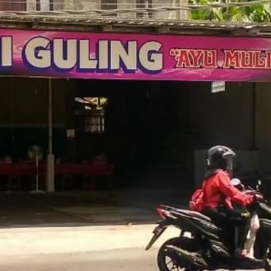 BABI GULING AYU MULI BEERINGKIT 1