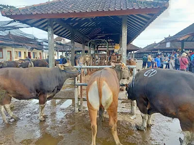 Pasar Umum Beringkit 3