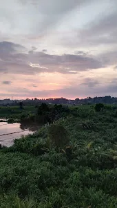 PC Women's Collections 2