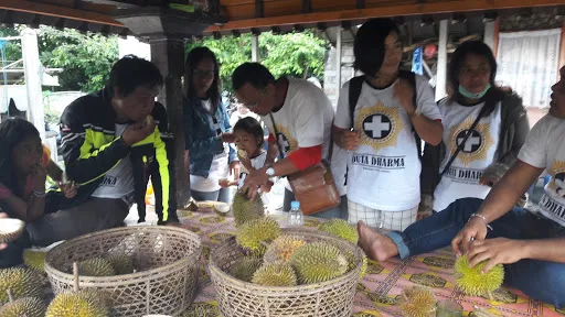 ARENA TAJEN TEGALNARUNGAN 1