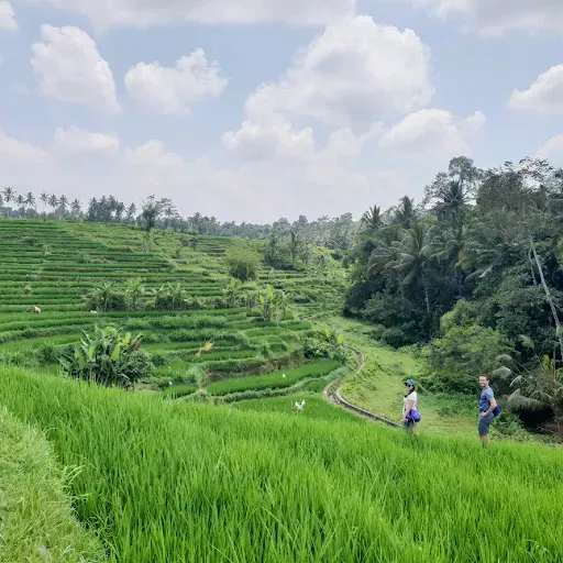 Bali Wild Trek 1