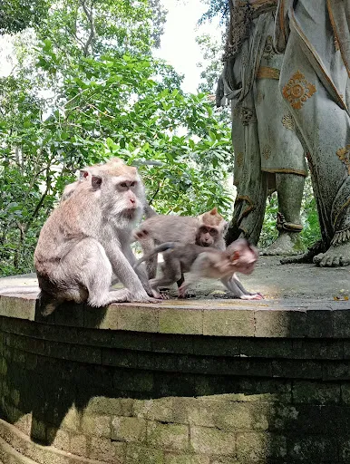 Bali Wild Trek 3