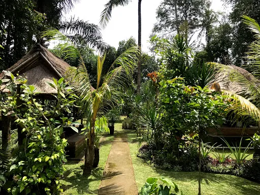 Bali Rural Life