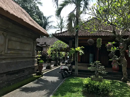Bali Rural Life 2