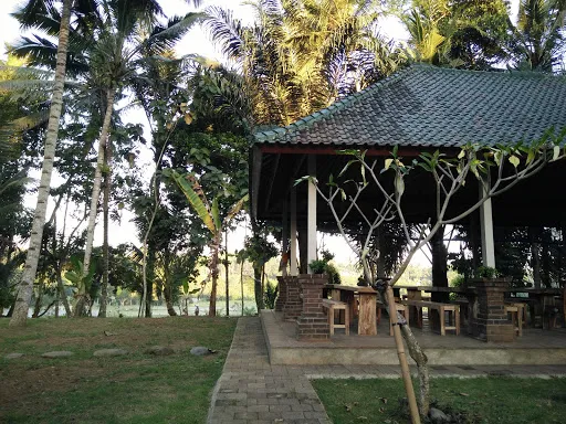 Bali Scenes - Rural Life 2