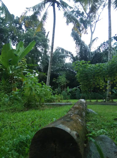 Bali Scenes - Rural Life 4