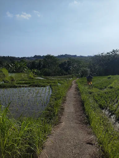 Bendungan Latu 2