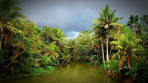 Bendungan Latu 3
