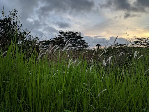 Bendungan Latu 4