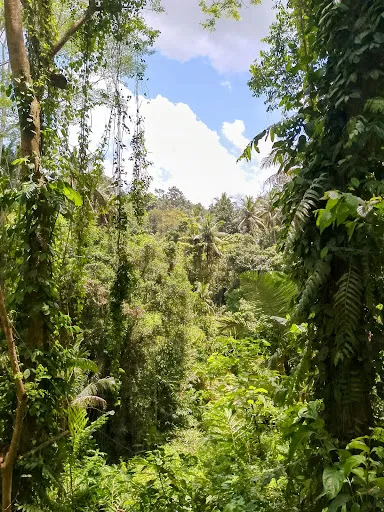 Entry walkway to Secret Waterfall 2
