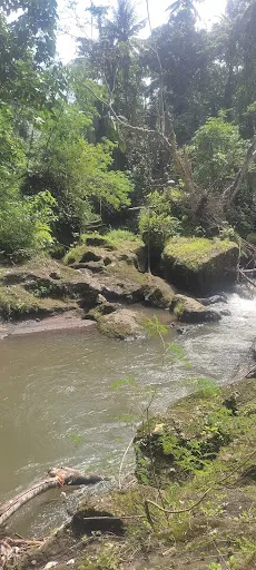 Entry walkway to Secret Waterfall 3