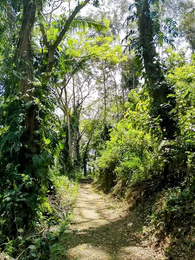 Entry walkway to Secret Waterfall 4