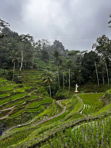 Sedana Bali Tour | Scooter Rental | Tour Service 4