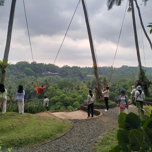 Bali jungle swing 2