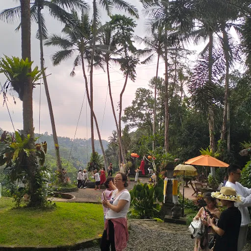Bali jungle swing 3