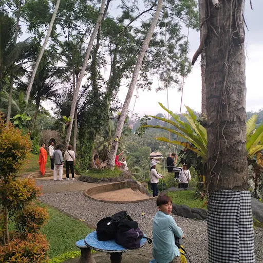 Bali jungle swing 4