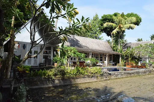 Bali Village Trekking 4