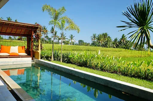 Padi Ballet Villa 2