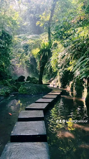 Ubud driver service and tour 1