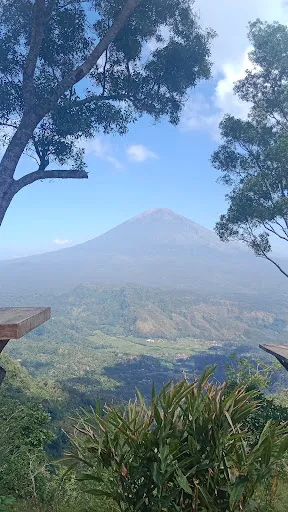 Ubud driver service and tour 4