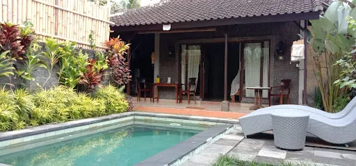 Dedik House