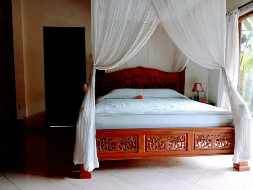 Dedik House 1