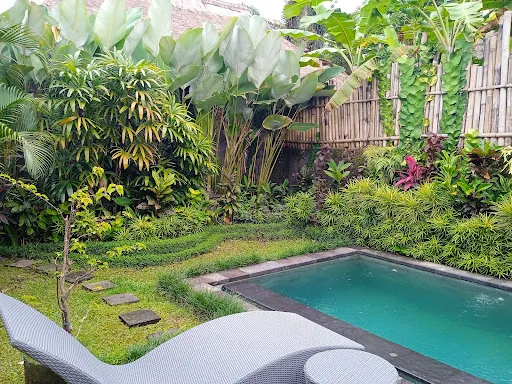 Dedik House 2