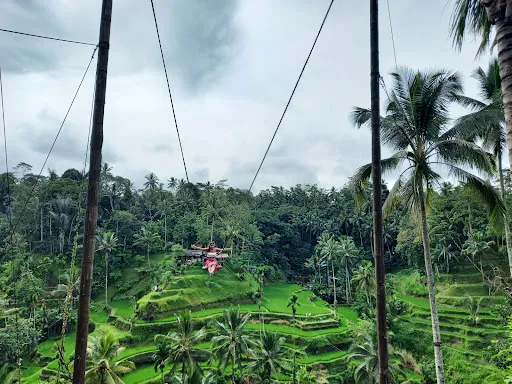 Ubud Bali Lastminute Taxi and Tour 2