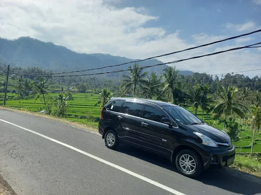 Ubud Bali Lastminute Taxi and Tour 3