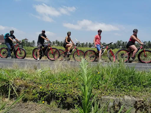 Bali E-Bike Tours - Touring Bike in Ubud 1