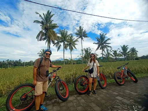 Bali E-Bike Tours - Touring Bike in Ubud 2