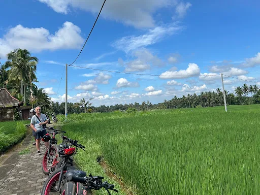 Bali E-Bike Tours - Touring Bike in Ubud 3