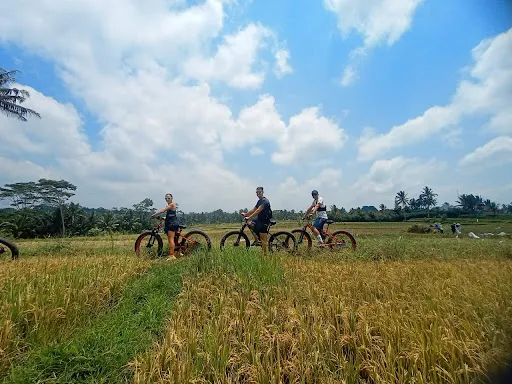 Bali E-Bike Tours - Touring Bike in Ubud 4