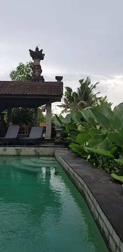Ala's Green Lagoon 2