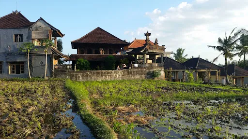 Ala's Green Lagoon 4