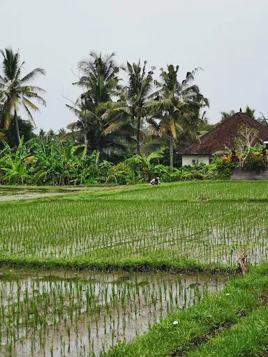 Three Dewi's Guest House 3