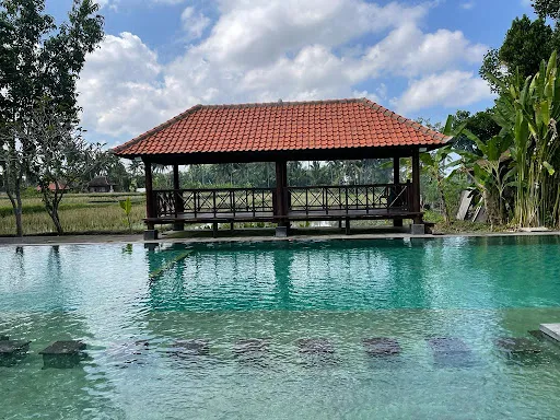 Yin Yoga Therapy Training 1