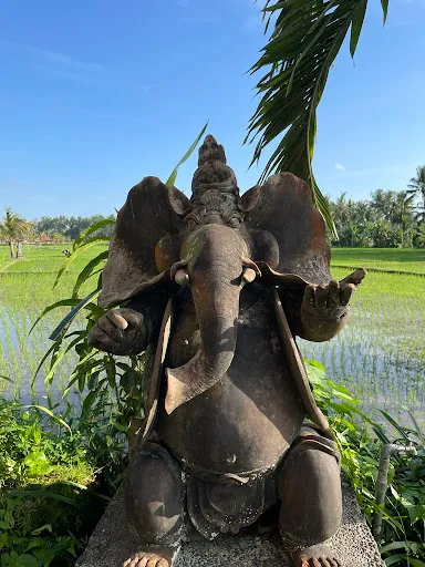 Yin Yoga Therapy Training 3