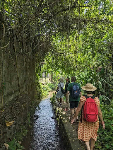 Bali Bird Walks 4
