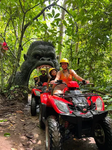 Bali Top ATV 1