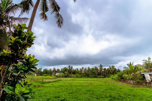 OSTEO UBUD / Osteopathy treatments in the heart of Bali 1